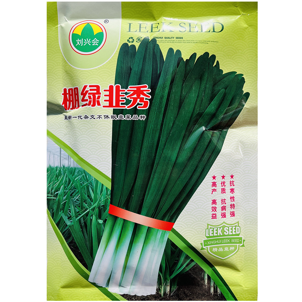 棚绿韭秀韭菜种子抗病高产叶色鲜绿冬季不休眠耐寒优质韭菜种籽孑