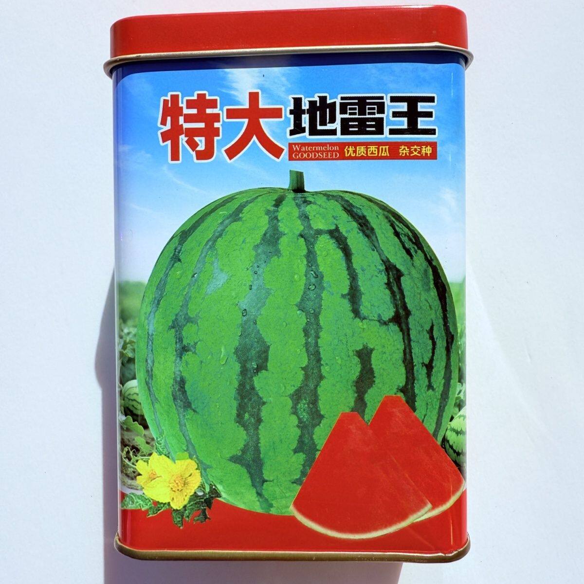 特大地雷王早中熟西瓜品种抗病抗裂耐重茬大红瓤糖度高口感好