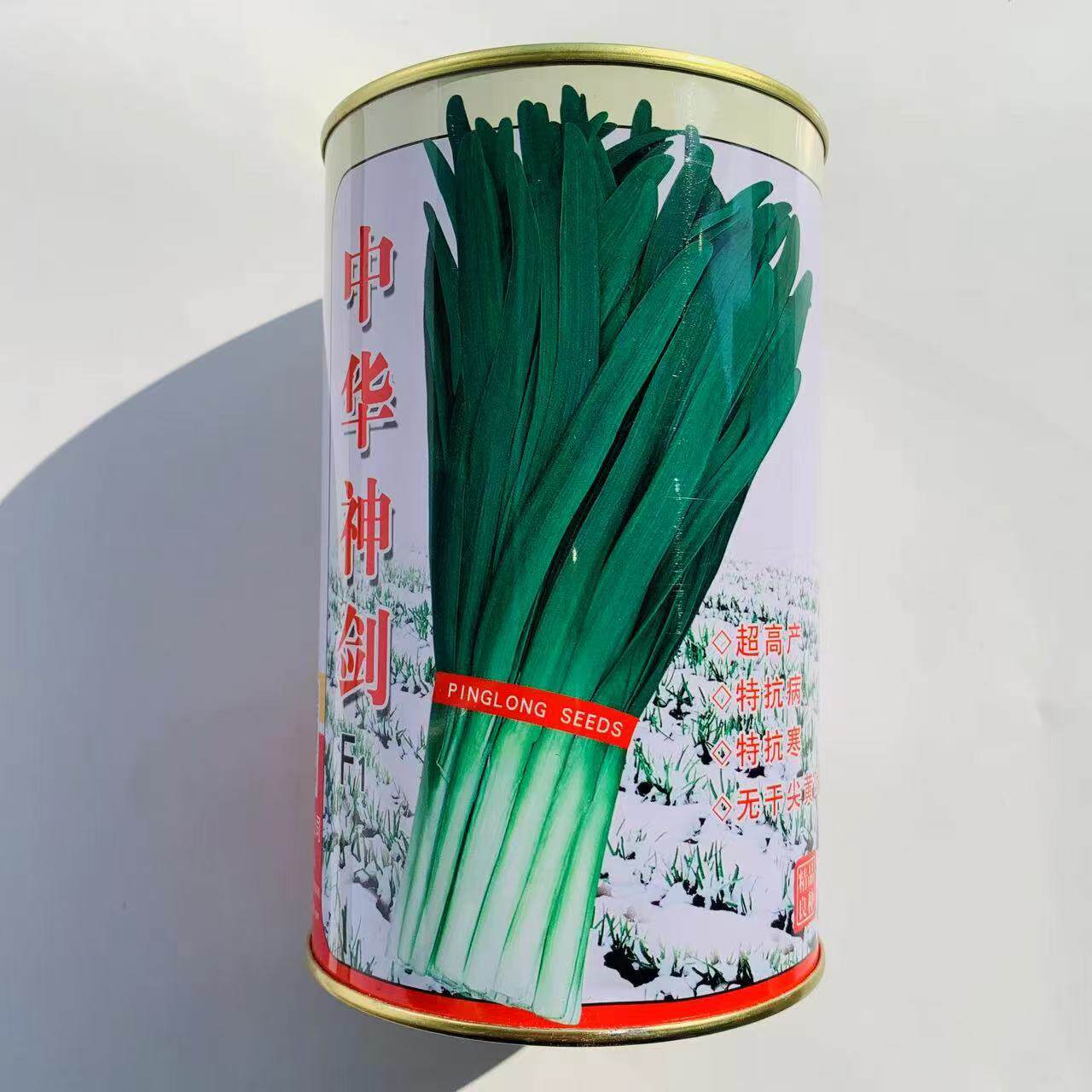 中华神剑韭菜种子冬季不休眠雪韭王宽叶韭菜种籽春秋季蔬菜籽种