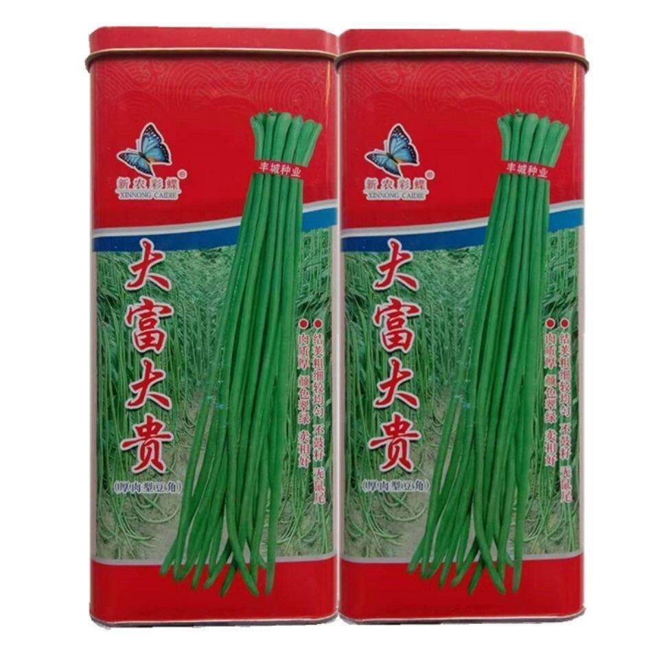 中早熟大富大贵小叶长豇豆种子长豆角翠绿色耐热高产抗病春夏秋种