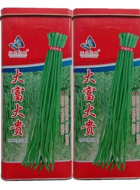 中早熟大富大贵小叶长豇豆种子长豆角翠绿色耐热高产抗病春夏秋种