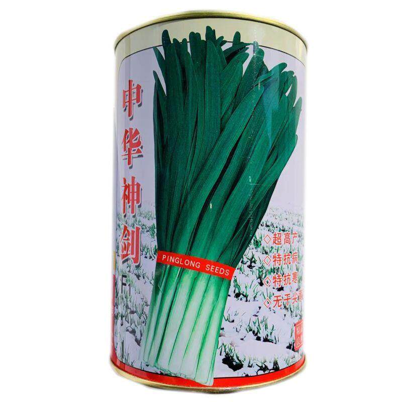 中华神剑韭菜种子更耐寒不休眠高