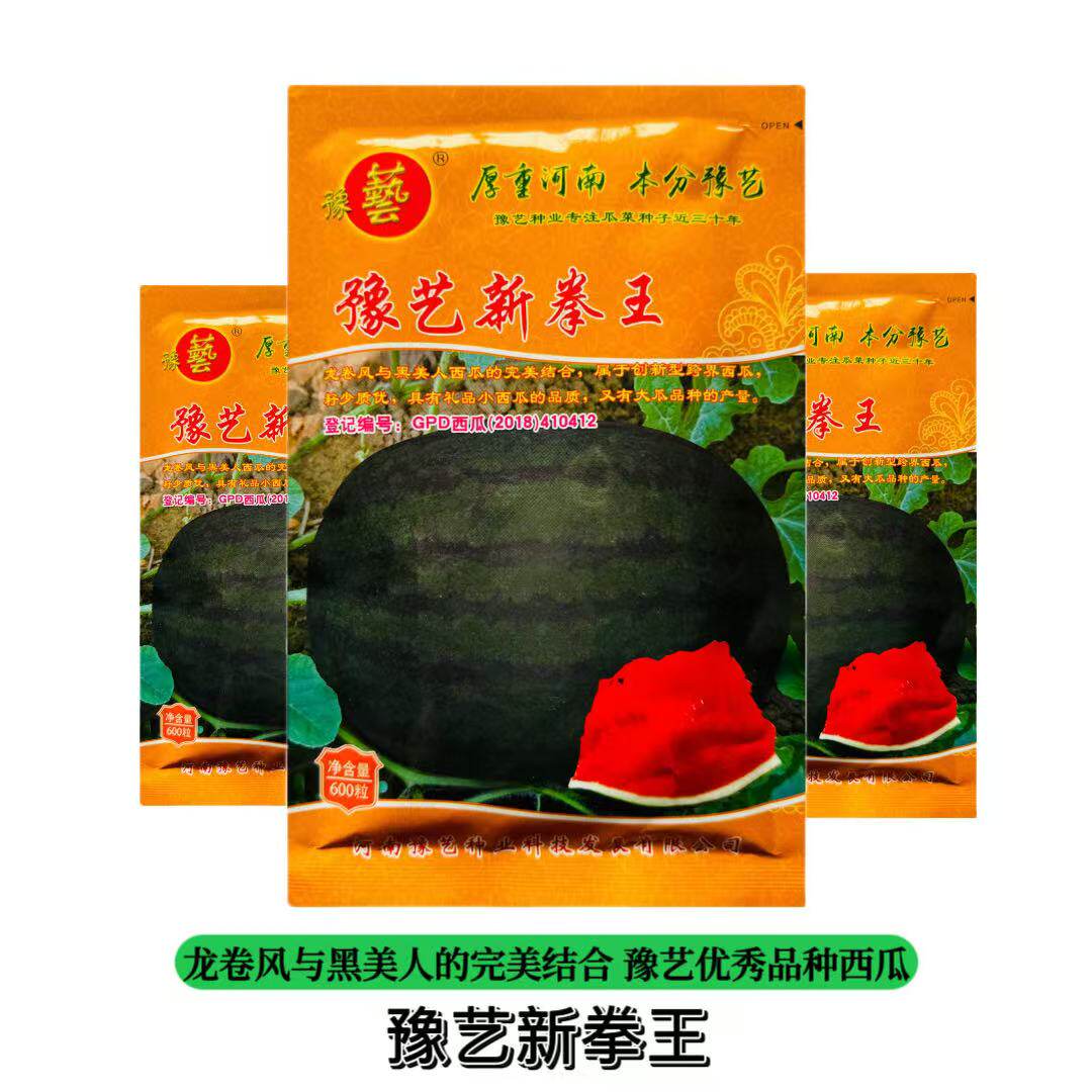 600粒豫艺新拳王椭圆大果甜王美人西瓜种子高产抗病籽少红肉西瓜