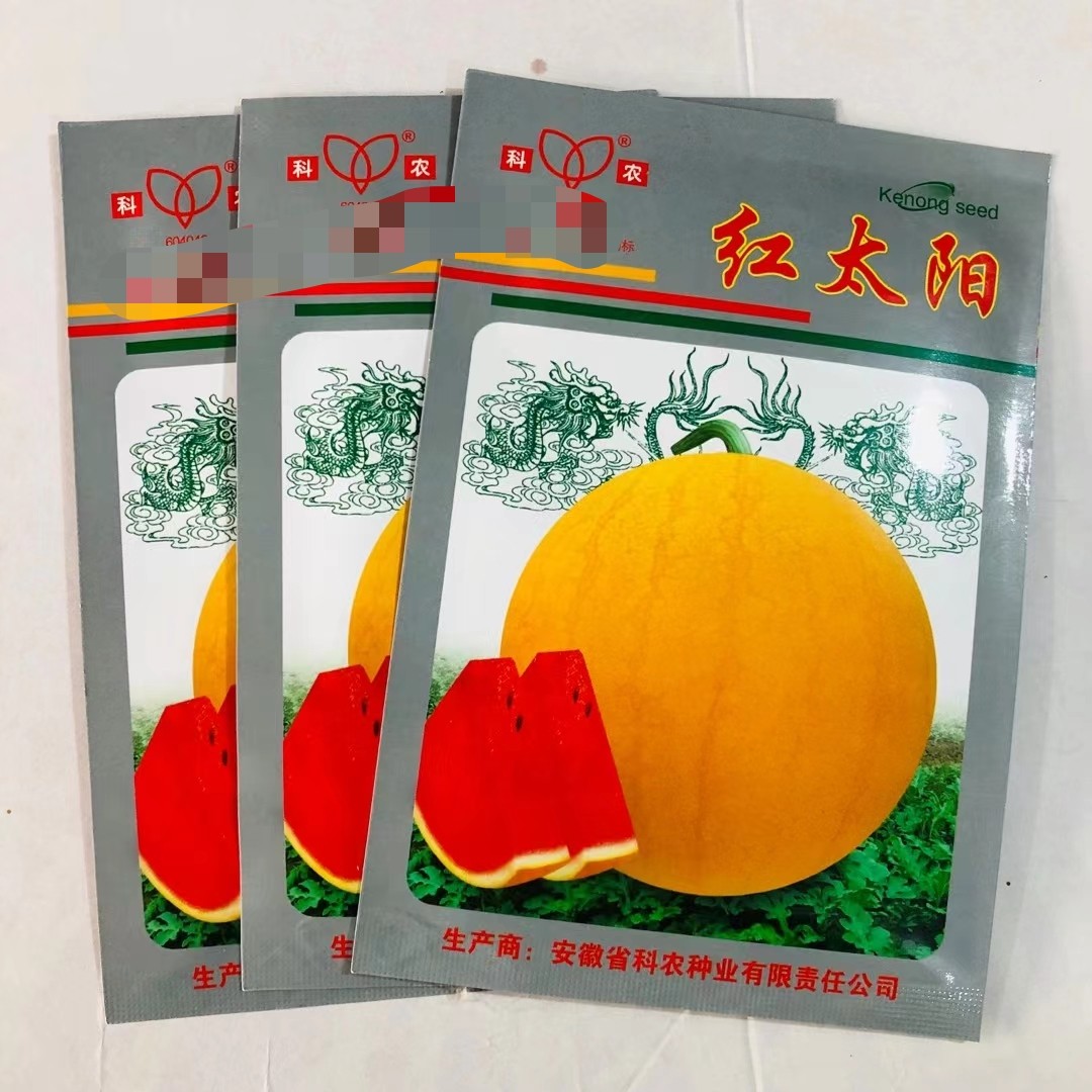 红太阳西瓜种子早熟黄皮大红瓤西瓜籽薄皮且韧耐贮运春播高产种孑