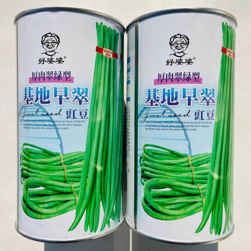 翠绿色长豆角种子正宗种子早熟肉厚春秋季基地早翠豇豆种子大田用