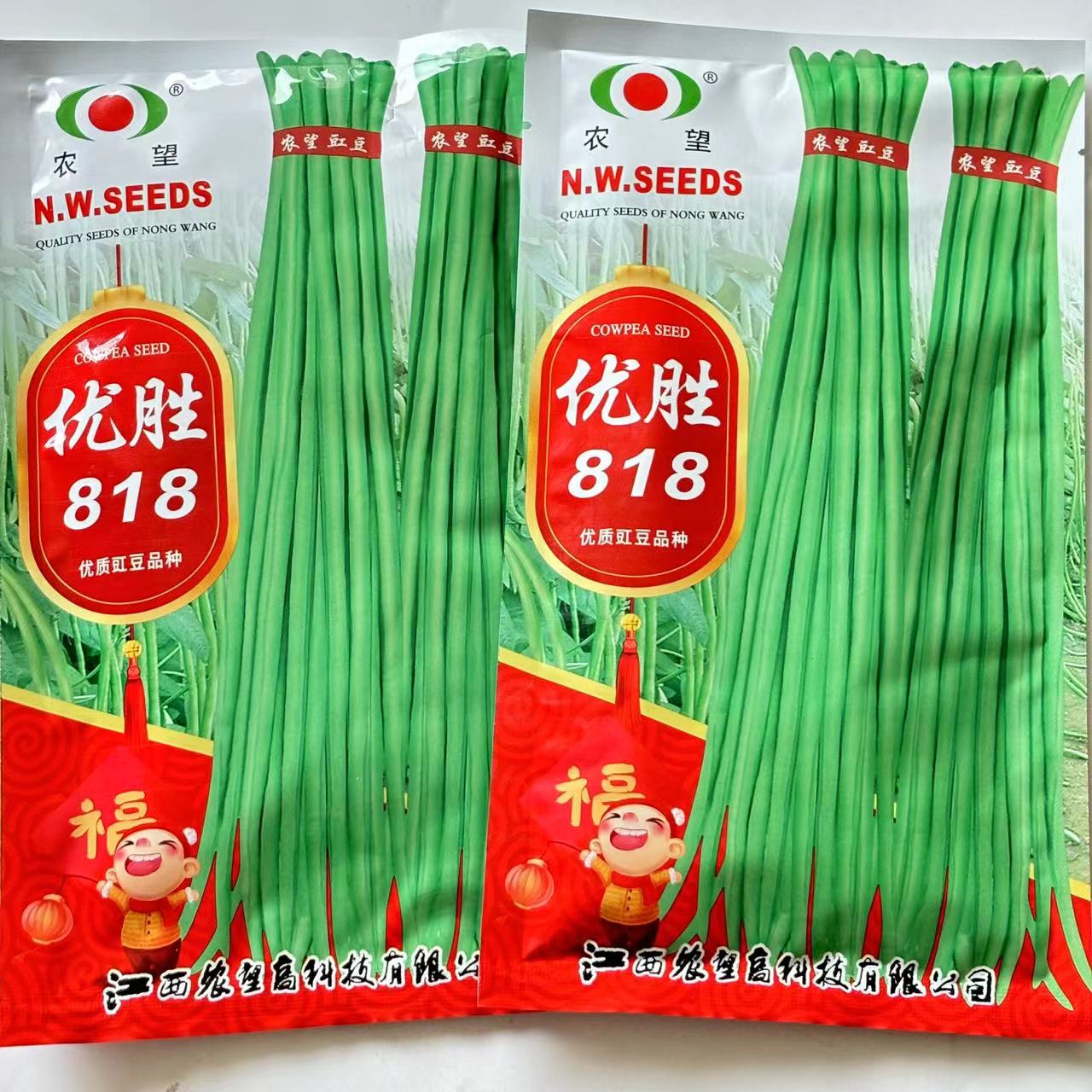 优胜818豆角种子四季豆特长无筋高产小叶摘不败优胜99豇豆蔬菜种