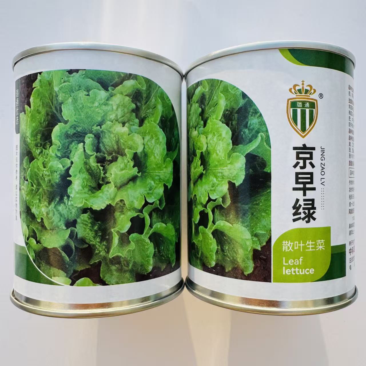 璐通京早绿散叶生菜种子植株紧凑顶端开放叶色翠绿耐热耐湿生菜种