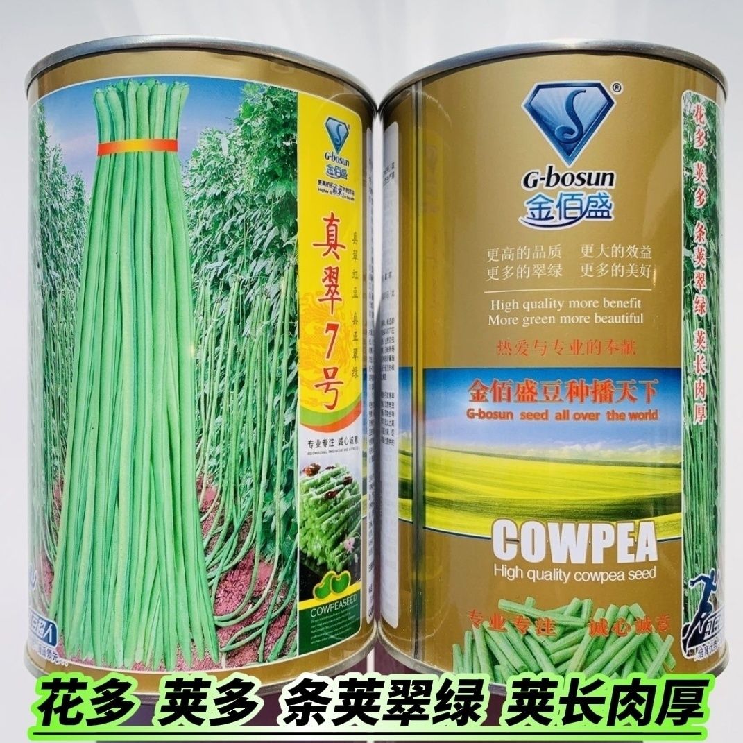 原装真翠7号豆角种子高产抗病早熟四季播种荚长肉厚条荚翠绿荚长
