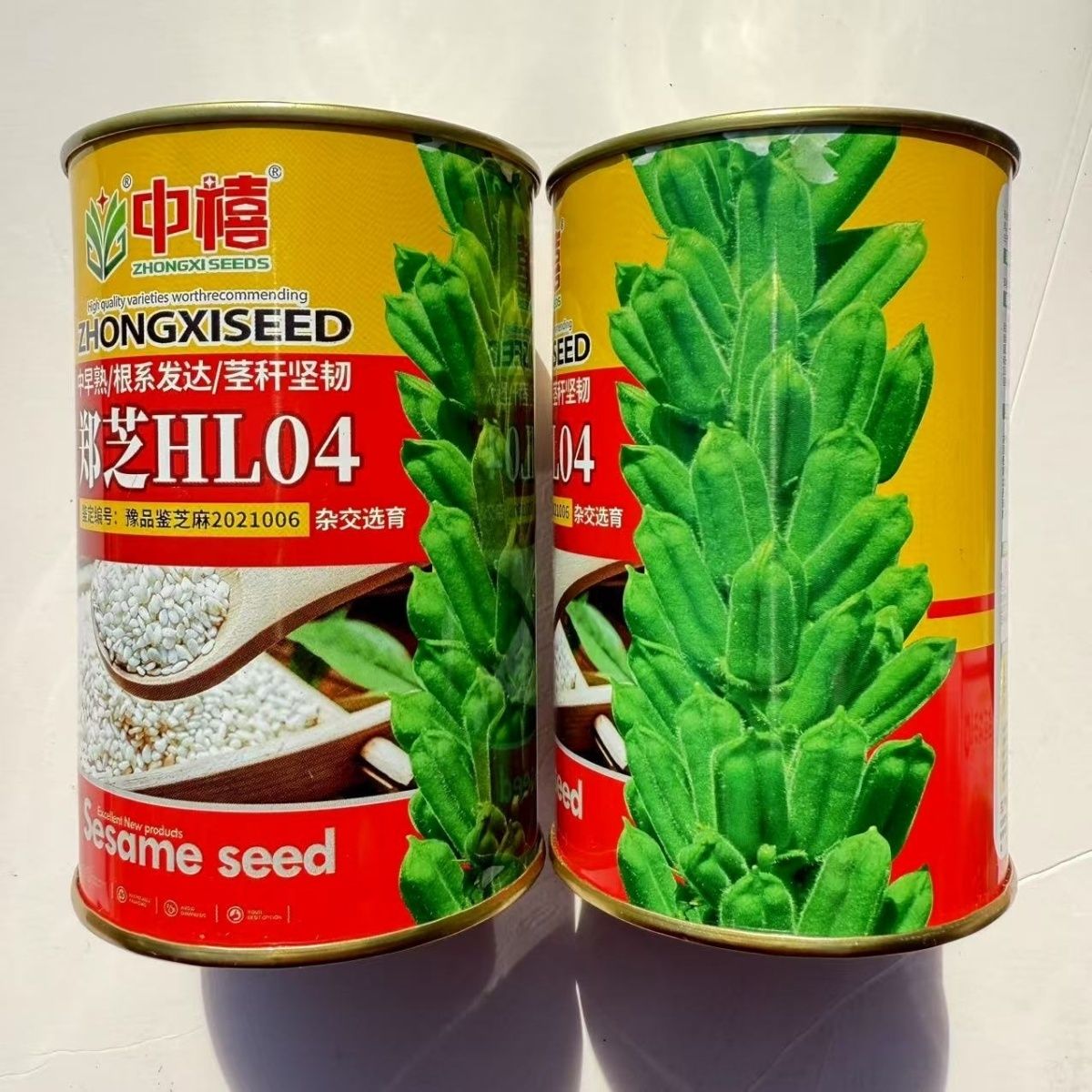 中禧郑芝HL04白芝麻种子杂交中早熟单秆四棱芝麻种子高产高油种子