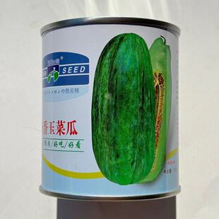湖南本地菜瓜籽 新香玉菜瓜种子绿皮绿肉 早熟甜瓜脆瓜香瓜20克
