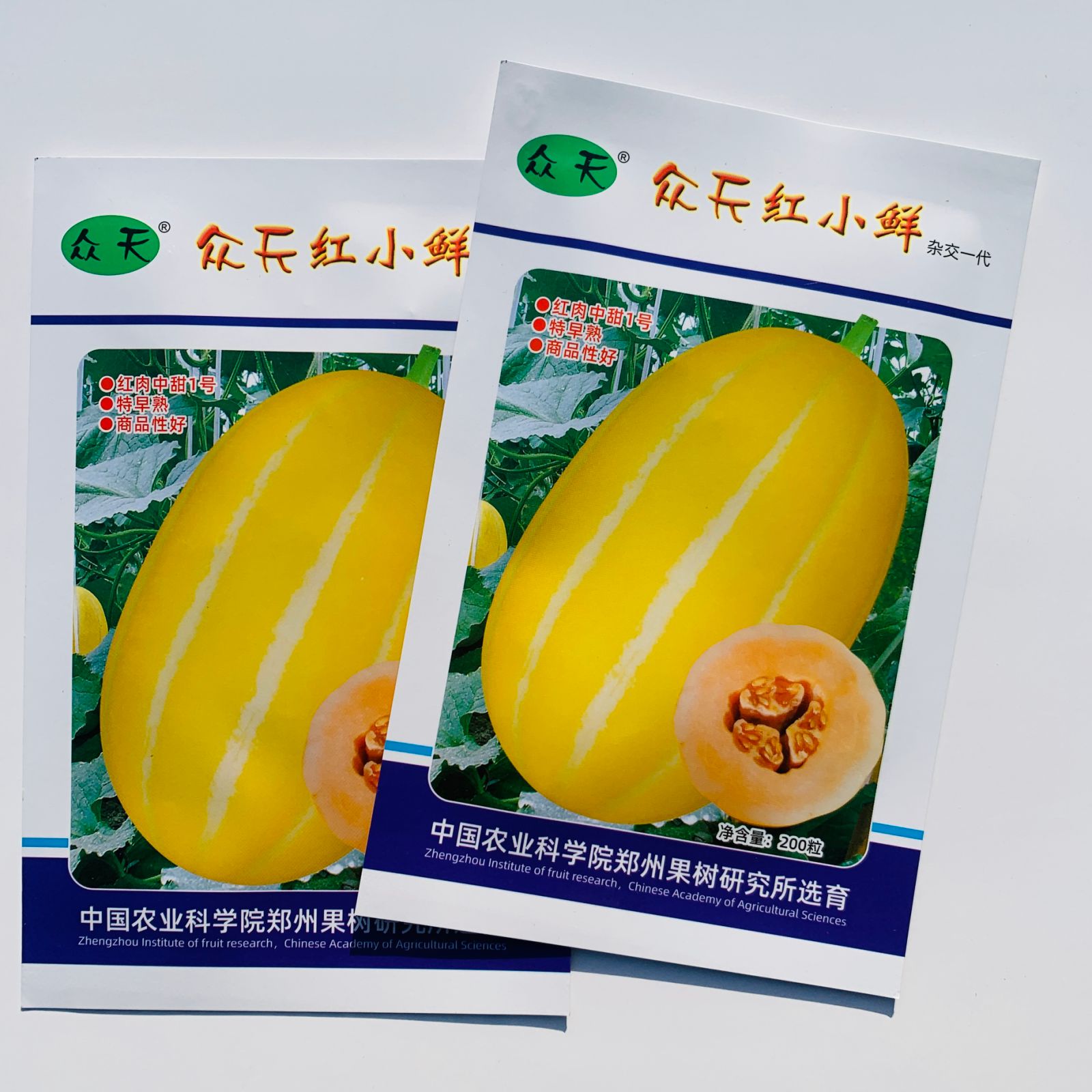 众天红小鲜甜瓜种子特早熟黄皮红肉香瓜种籽桔红肉黄金蜜香瓜种子