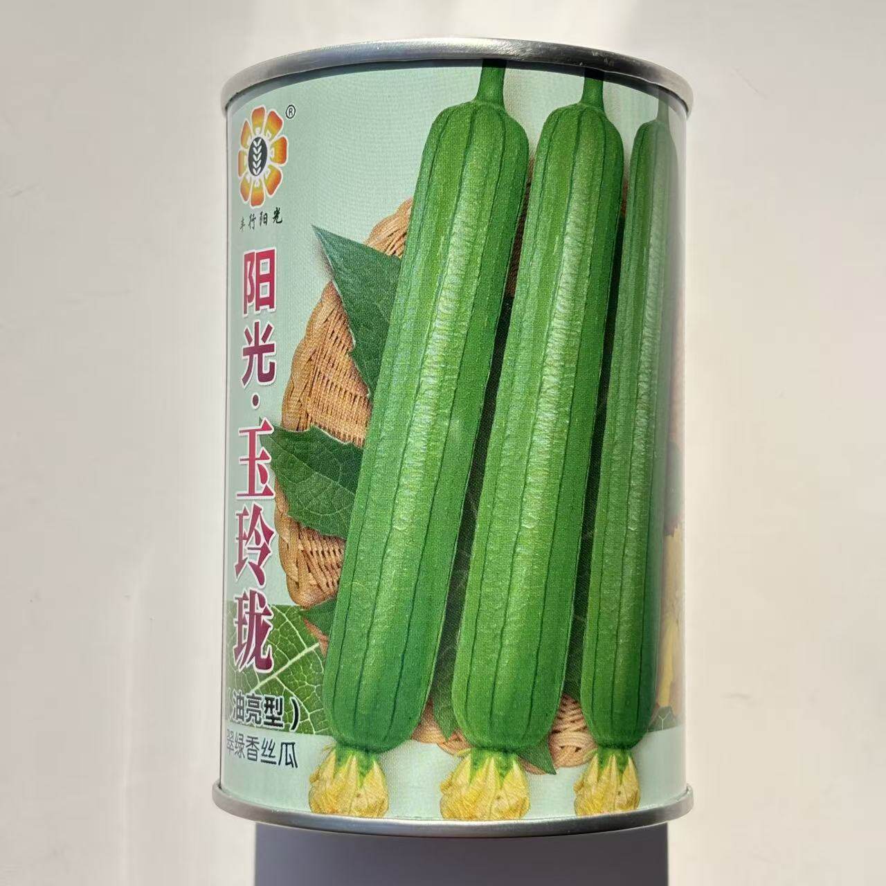 阳光玉玲珑油亮翠绿香丝瓜种子早熟短棒油绿丝瓜种籽硬度好产量高