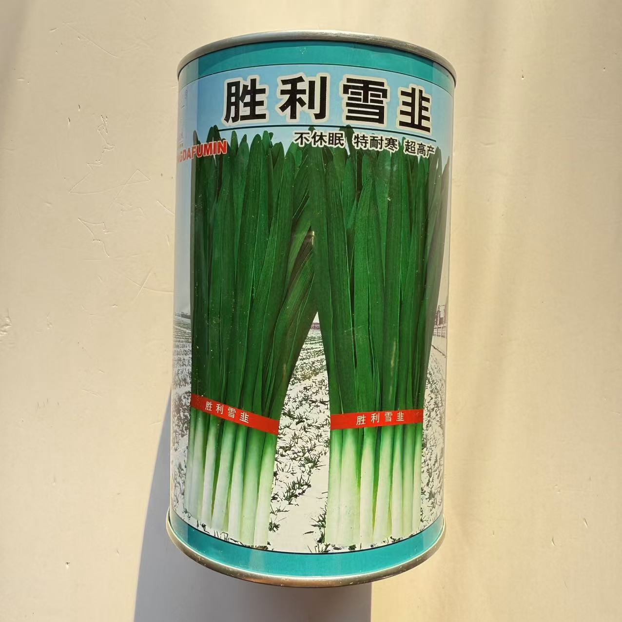 胜利雪韭优质耐寒韭菜种子高产抗病不休眠抗倒伏抗干尖大田韭菜孑