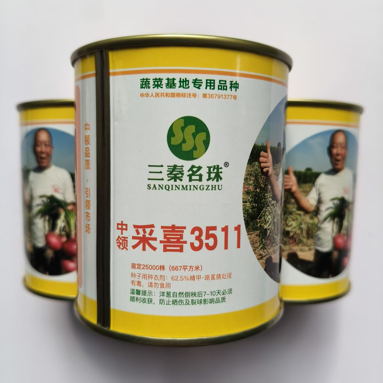 中领采喜3511紫皮洋葱种子特大秋季葱头种子扁圆紫色洋葱籽蔬菜种