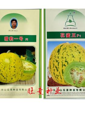 花蜜王一代杂交花皮豹纹甜瓜种子颜色美观甜度高猎豹一号香瓜种子