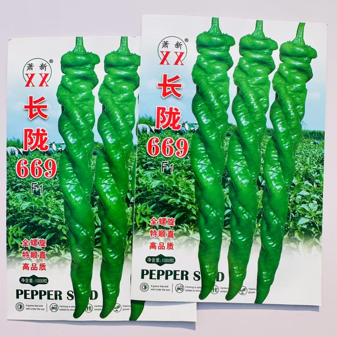 长陇669螺丝椒种子早熟全螺旋型螺丝椒种子香辣长羊角型辣椒种子