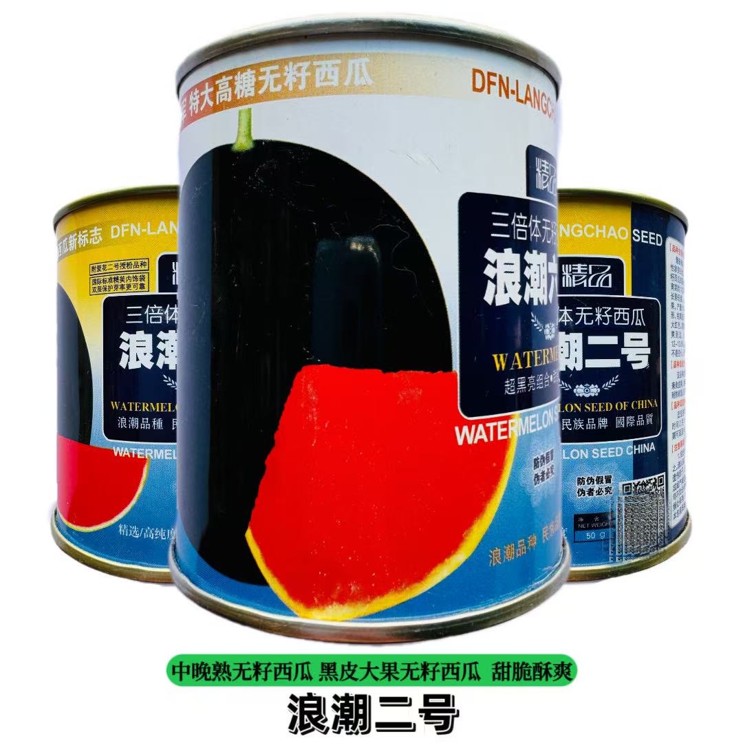 浪潮二号高产无籽西瓜种子黑皮红瓤甜大果型三倍体无子四季播春季