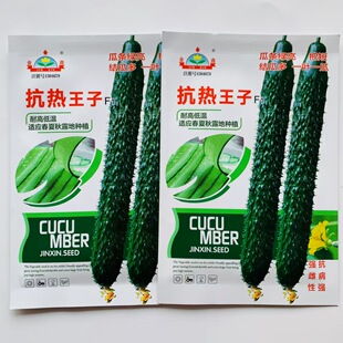蔬菜瓜果黄瓜种子大全耐高低温抗热王子春夏秋种强雌黄瓜籽种高产