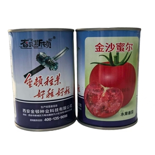 金莎蜜尔粉红番茄种子早熟抗TY耐贮高秧无限生长型大西红柿种籽孑