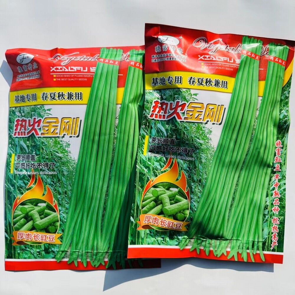 赣新超越708长豇豆种子中早熟肉