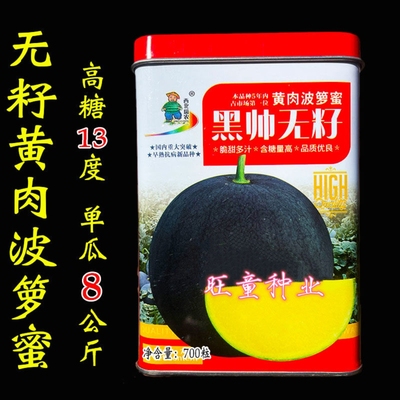 黑皮黄瓤无籽西瓜种子高端无籽西瓜种籽黄肉波箩蜜瓜农专用种孑