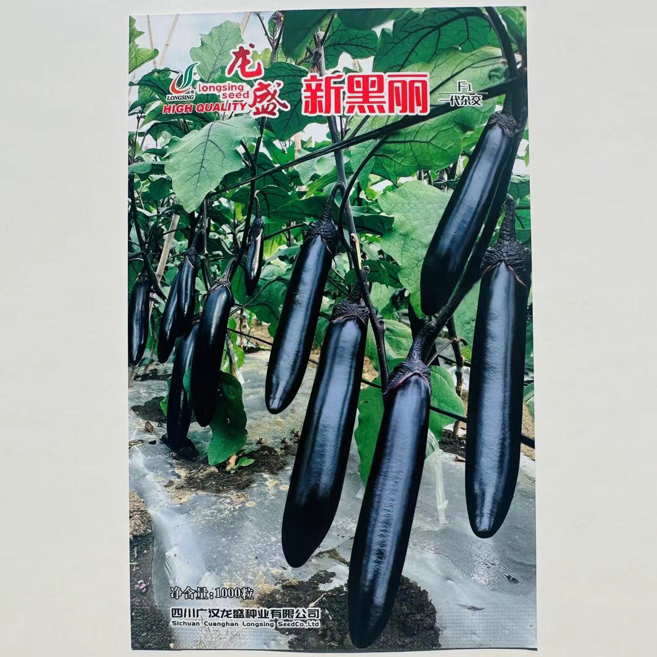长茄种子新品种龙盛新黑丽油黑长条型茄子种子长棒顺直型春秋四季