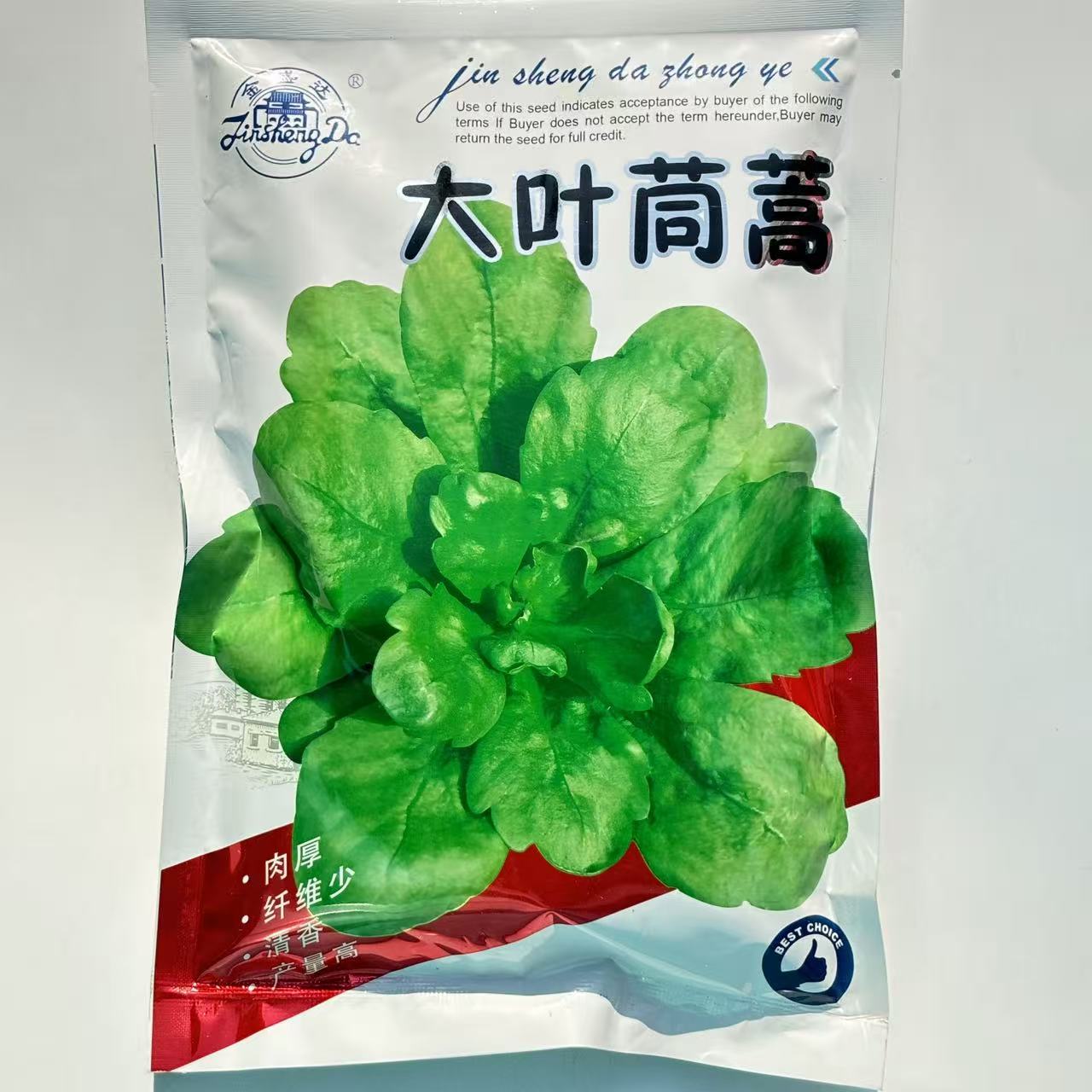 大板叶茼蒿 圆叶茼蒿菜种子 香味浓郁 叶片浅绿 叶圆 叶片倒卵形