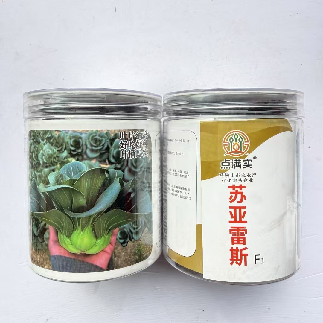 苏亚雷斯黑叶大头束腰矮脚苏州青梗菜种子上海青菜四季蔬菜种子