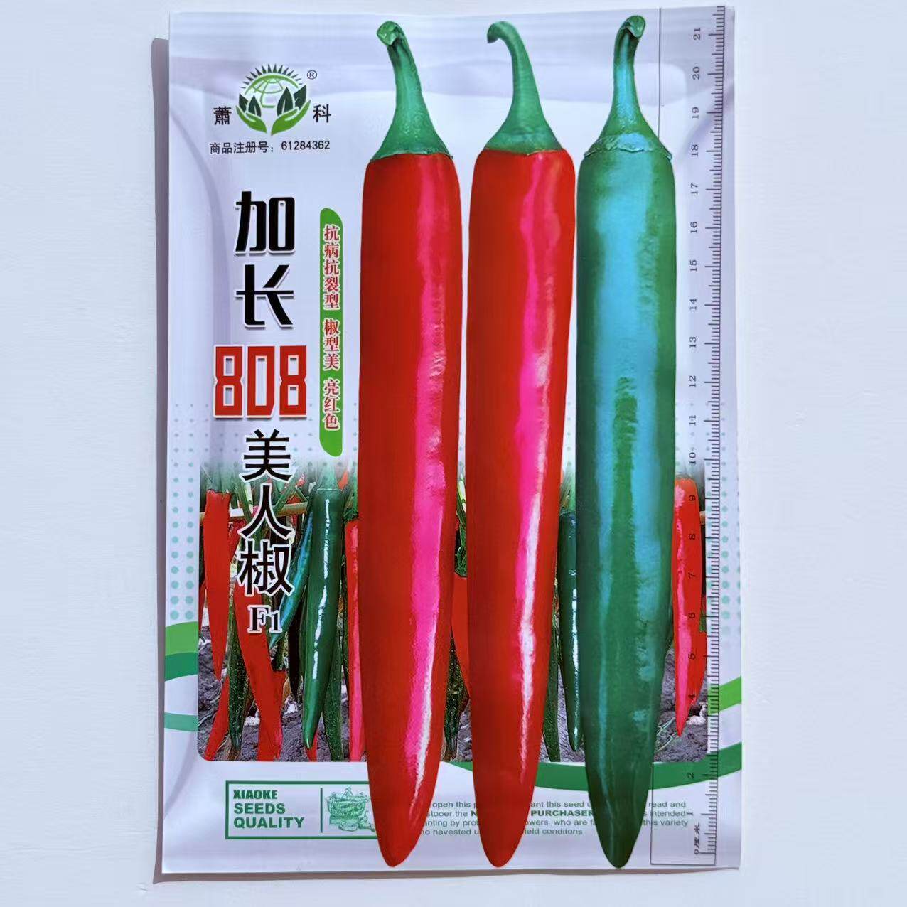 加长808美人椒种子中早熟抗病辣椒种籽春秋菜园基地青红椒蔬菜孑
