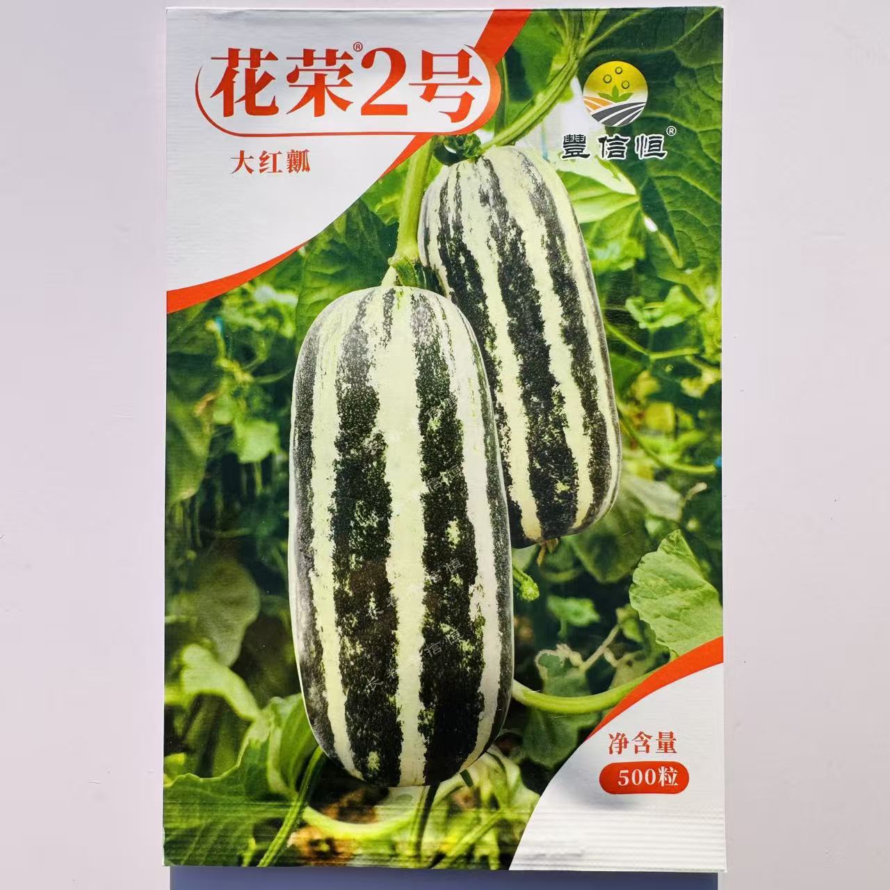 花荣2号甜瓜种子早熟加长薄皮绿肉红瓤酥瓜种籽酥脆香甜大田用种