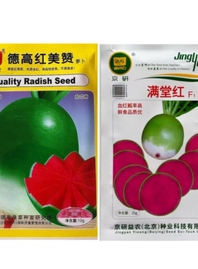 德高红美赞满堂红萝卜种籽白色高产耐寒青皮红肉绿色水果萝卜种子