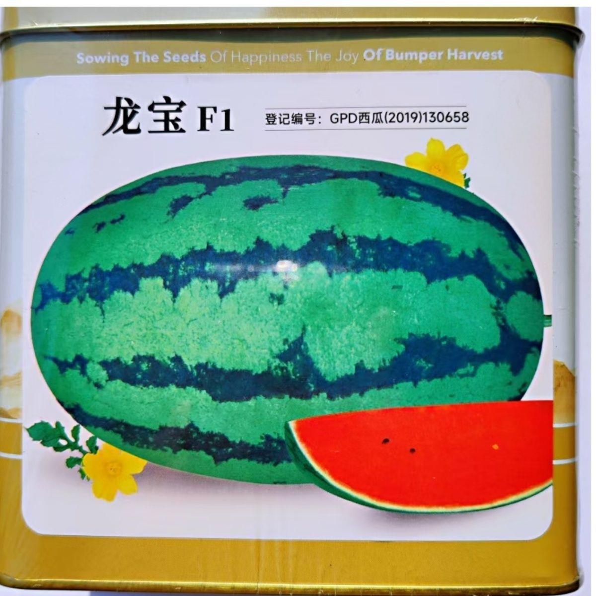 神禾龙宝西瓜种子中熟大果