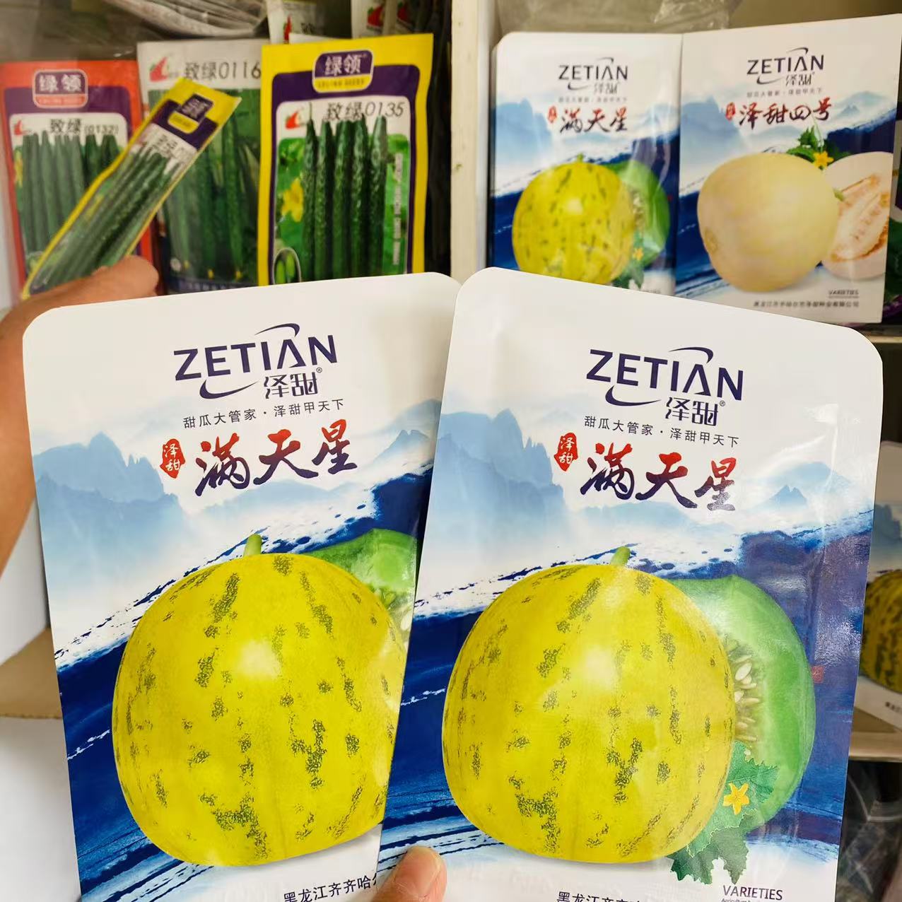 满天星高端豹点八里香甜瓜种子浓香高糖绿肉高产抗病商品佳春秋播