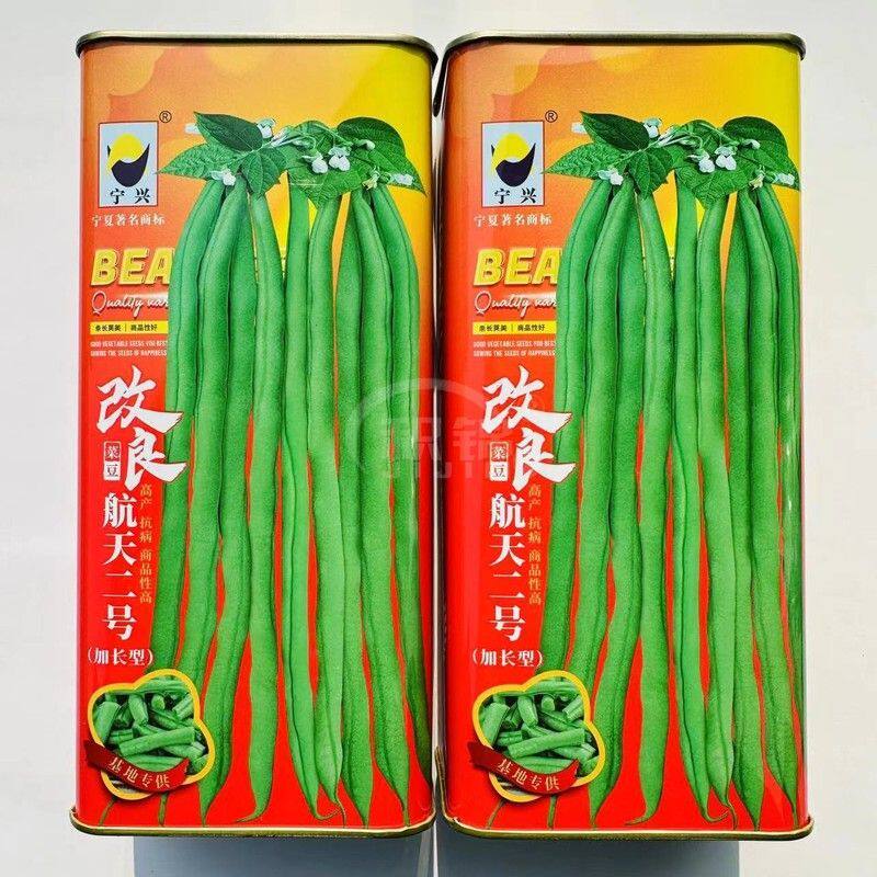 改良航天二号架豆王种子加长型无筋豆种子四季豆泰国架豆种子特长