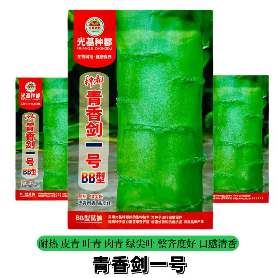 种都青香剑一 二号莴笋种籽耐热青皮青肉尖叶抗热香莴苣种子三青