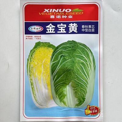 金宝黄黄心春秋型大白菜种子耐抽薹高抗病早熟耐寒黄心大白菜籽