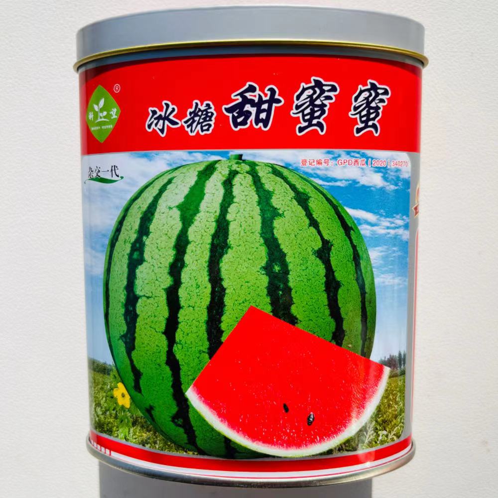 华萃冰糖甜蜜蜜西瓜种子早熟花皮圆形西瓜种籽高产抗病易做果耐裂