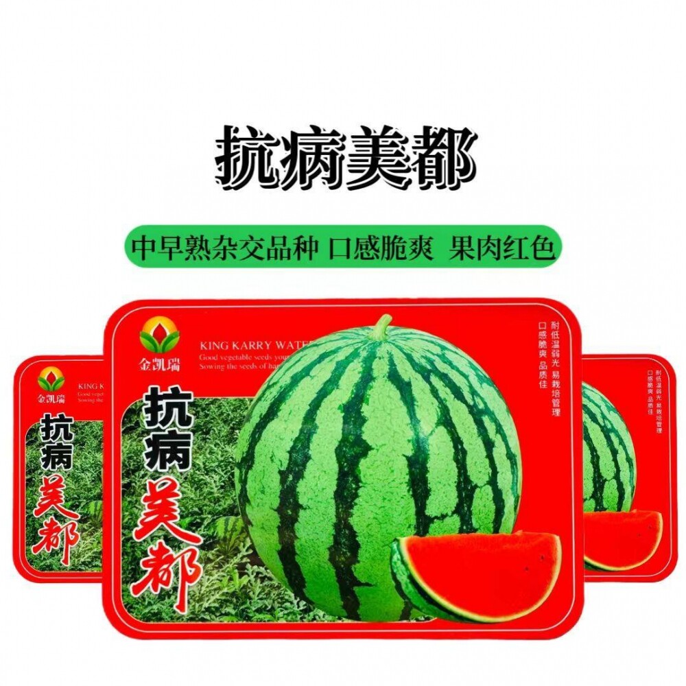 抗病美都西瓜种子高产特甜早熟麒