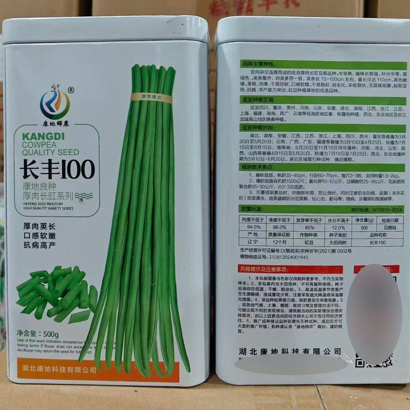 威尔特架豆种籽早熟白芸豆种子豆荚圆扁型绿白色口感无筋芸豆种子