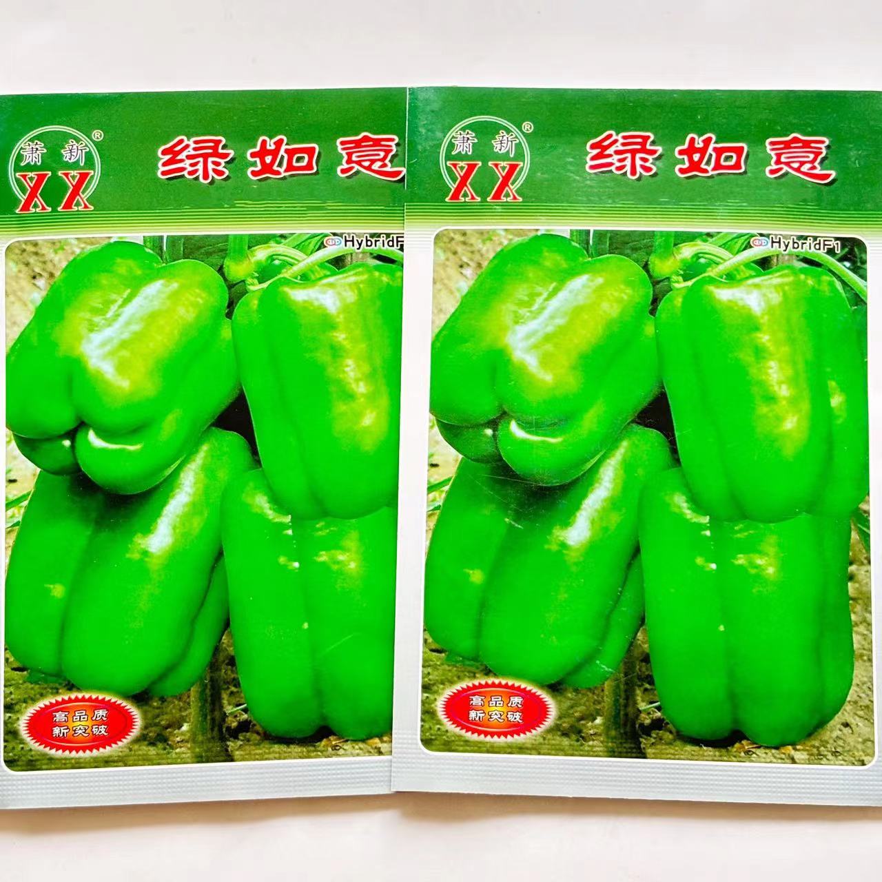 绿如意甜椒辣椒种子早熟灯笼椒肉厚抗病高产春秋大棚露天种植菜种