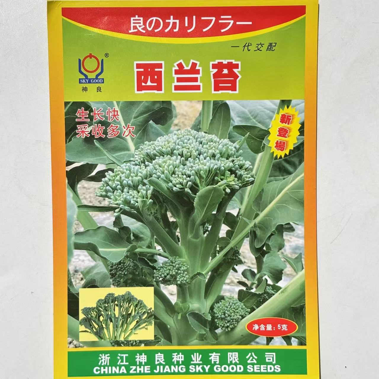 西兰苔种子正宗绿西兰苔西洋芥兰西兰花蔬菜种籽花菜苔神良耐高温