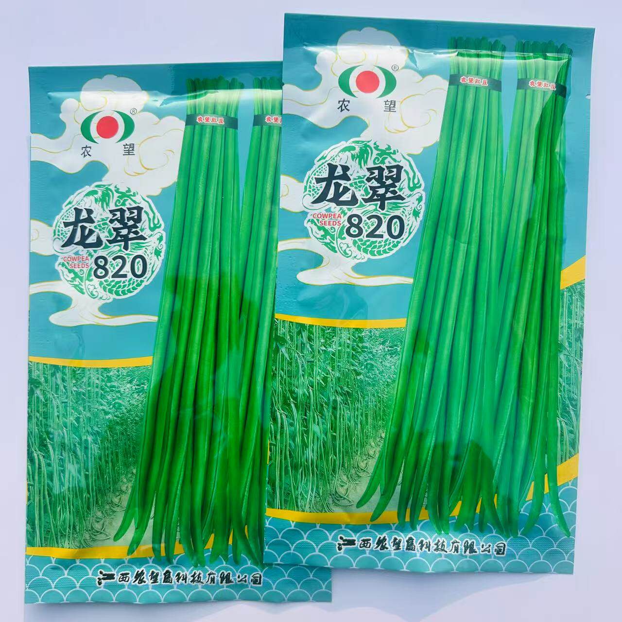 龙翠820白籽白花中早熟豇豆肉较厚纤维少耐热商品性好豆角种子