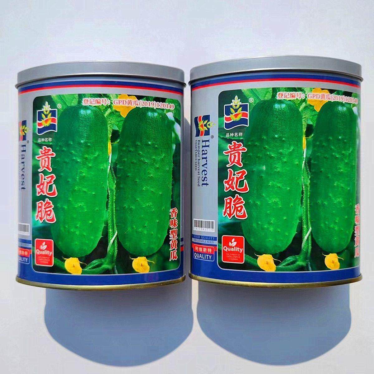 贵妃脆水果黄瓜种子种籽孑香味型刺瘤中等果肉浅绿肉厚味甜长15cm