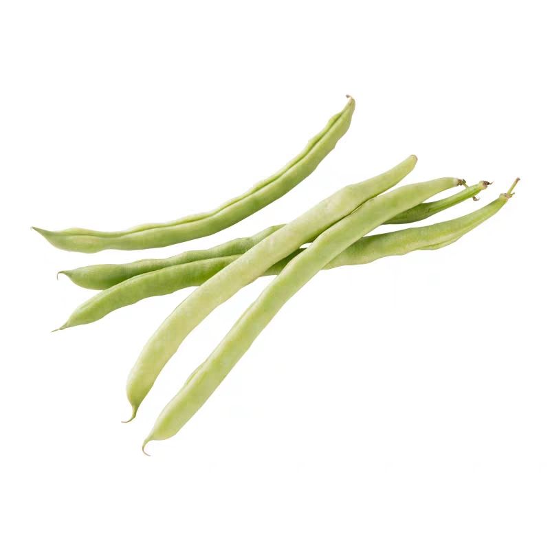宏雨白架豆种子巴菲特高产豆角种籽白荚肉厚长芸豆四季豆蔬菜种孑