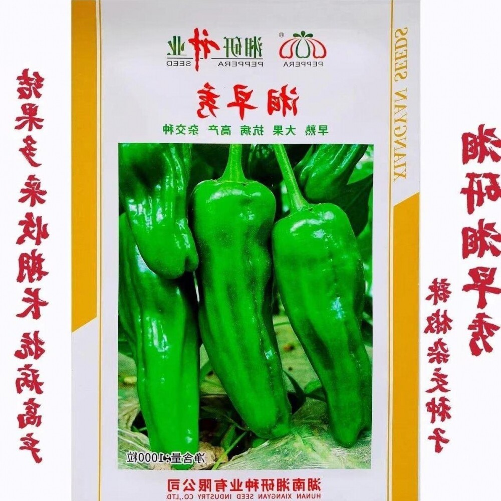 湘早秀辣椒种子湘研十三号牛角椒种籽早熟肉厚青椒辣椒种籽包邮