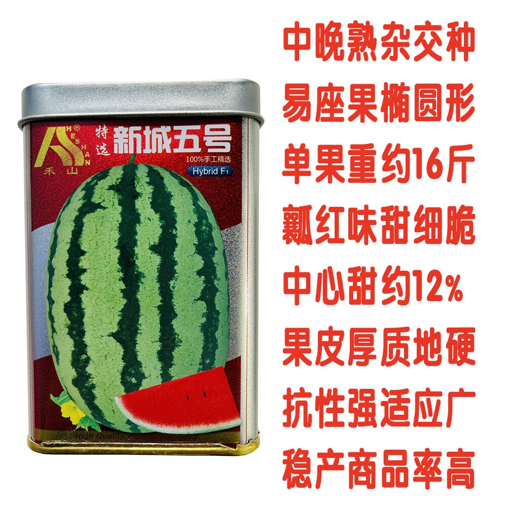 禾山新城五号杂交西瓜种子沙漠硒砂西瓜石头瓜种籽中晚熟红肉细脆