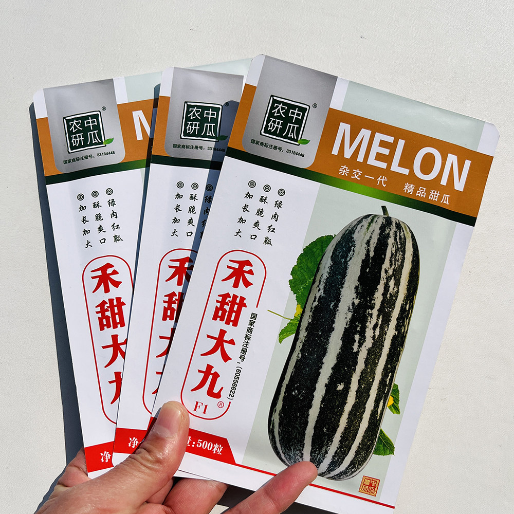 禾甜大九甜瓜种子早熟加长薄皮绿肉红瓤酥瓜种籽酥脆香甜大田用种