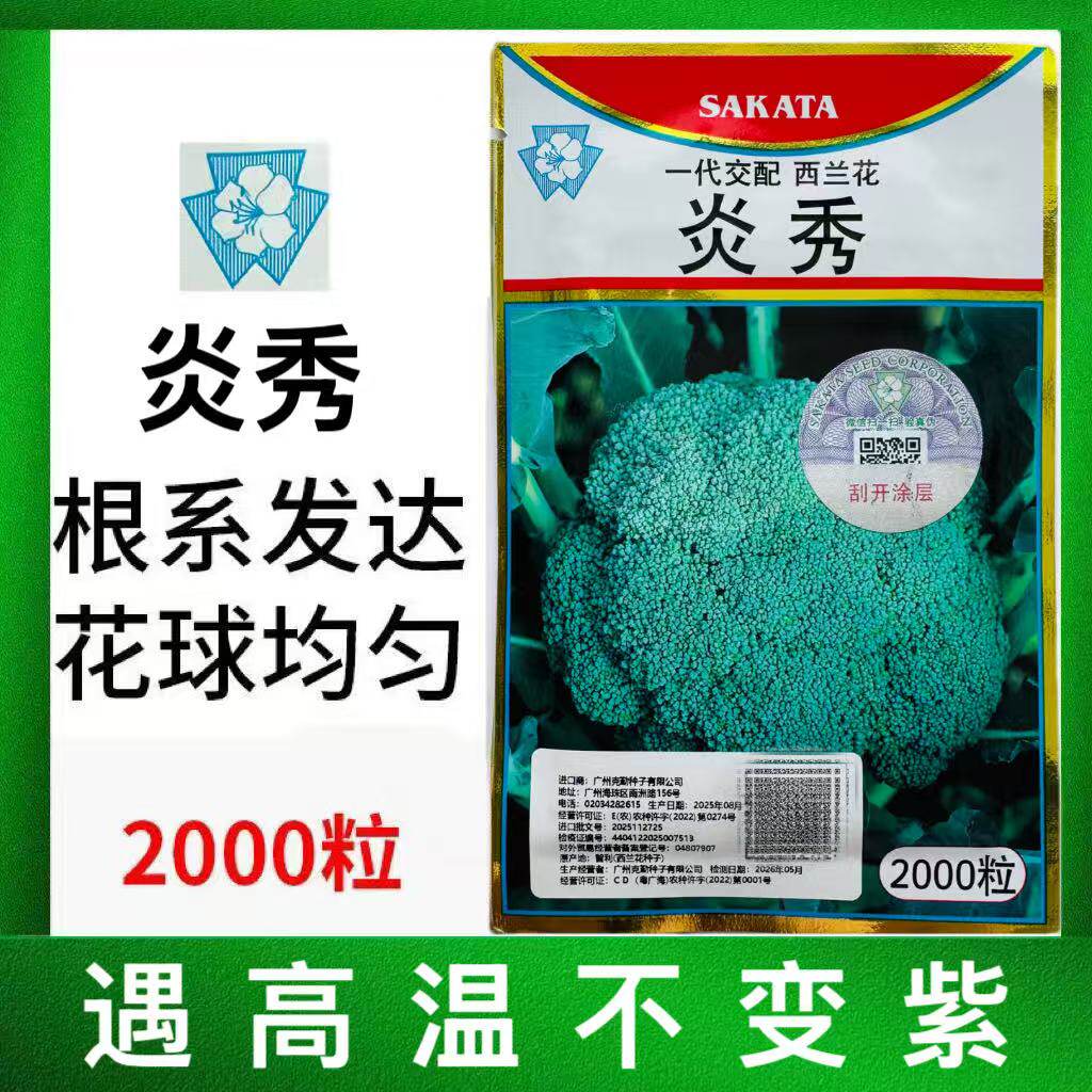 炎秀西兰花种子日本坂田进口耐寒优秀青花菜绿花菜西蓝花种籽春秋