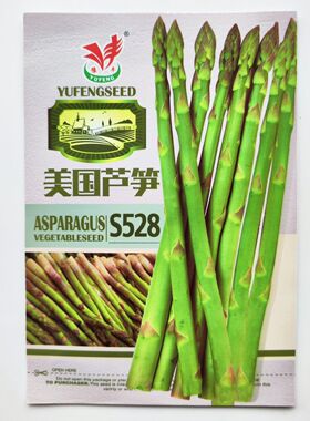 美国芦笋种子四季高产紫色多年生种植阳台春季夏季种籽苗蔬菜种孑