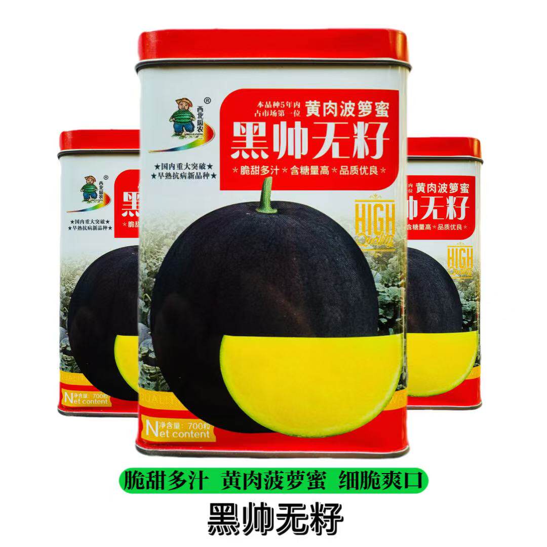 黑帅无籽西瓜种子高产超甜正圆大果黑皮黄肉菠萝蜜春季播种水果籽
